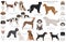 Hunting dogs collection isolated on white clipart. Flat style. Different color, portraits and silhouettes