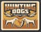 Hunting dogs, hunter horn and antler trophy poster