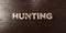Hunting - grungy wooden headline on Maple - 3D rendered royalty free stock image