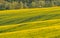 Hunting hideaway with yellow canola field