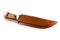 Hunting Knife In Leather Sheath