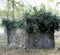 hunting lodge of hunters camouflaged with green leaves to hide