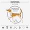 Hunting logo and badge template. Dog hunting, equipment. Flat d