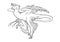 Hunting Microraptor line drawing