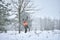 Hunting season, pheasant hunting. Hunters are standing in the forest waiting for the bird