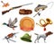 Hunting set. Shotgun, dog, duck, fishing, horn, hat, knife. vector icon