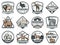 Hunting sport or safari adventure icons, vector