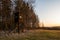 Hunting tower in wild forest. Wooden Hunter Hide High watch post tower. Hunter`s observation point in forest in Europe. Czech