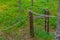 Hunting traps at Kierikki Stone Age Centre in Finland