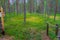 Hunting traps at Kierikki Stone Age Centre in Finland