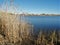 Huntington Beach Marsh