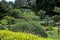 Huntington Library and Gardens, Japanese Gardens, Pasadena, CA