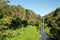 Hunua falls