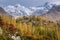 Hunza autumn scene show colorful leaves and trees with snow capped mountains.