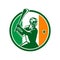 Hurling Ireland Flag Icon