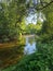 Huron River at Island Park Ann Arbor, Michigan. River framed with trees. Tranquil peaceful green blue sky folige reflection