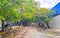 Hurricane 2021 Playa del Carmen Mexico destruction devastation broken trees