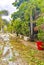 Hurricane 2021 Playa del Carmen Mexico destruction devastation broken trees