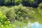 After hurricane. Close-up view of broken tree. Big old tree is fallen off in the river. The tree lies in the water of the river.