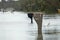 Hurricane flooded street with mail box surrounded with water in Florida residential area. Consequences of natural