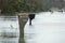 Hurricane flooded street with mail box surrounded with water in Florida residential area. Consequences of natural