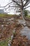 Hurricane Matthew damage in Nassau, Bahamas