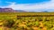 The Hurricane Mesa, a flat mountain mesa near Hurricane in Utah, USA