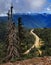 Hurricane Ridge, Olympic Peninsula, Washington