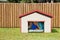 Husband or boyfriend man sleeping in the doghouse because of domestic problems