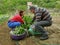 Husband and wife picking chard