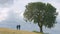 Husband and wife walking in field hand in hand, married couple together forever