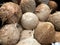 Husked coconut fruits at the fresh produce section of a store