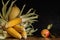 Husked corn cobs with zucchini and apple on a wooden surface against a background of black concrete plaster. front side view.