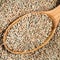 Husked rye grains in wood spoon closeup