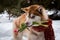 Huskie with flower in the forest