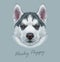 Husky animal dog cute face. Vector Alaskan puppy head portrait. Realistic fur portrait of Siberian dog on gray background