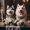 husky dog with a bouquet of roses, burning candle, wedding photo