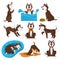 Husky dog cartoon pet playing or training