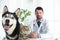 Husky dog with cat and mature veterinarian in office