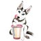 The Husky dog drinks coffee from a pink glass. cute puppy. Isolated