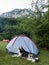 Husky dog guarding the masters tent