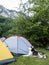 Husky dog guarding the masters tent