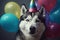 a husky dog with hats and balloons, in the style of photorealistic pastiche, photorealistic. Generative AI