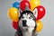 a husky dog with hats and balloons, in the style of photorealistic pastiche, photorealistic. Generative AI