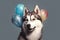 a husky dog with hats and balloons, in the style of photorealistic pastiche, photorealistic. Generative AI