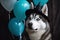 a husky dog with hats and balloons, in the style of photorealistic pastiche, photorealistic. Generative AI