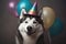 a husky dog with hats and balloons, in the style of photorealistic pastiche, photorealistic. Generative AI