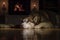 Husky dog is resting on the floor near the old fireplace . Fireplace with burning wood