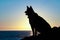 Husky dog silhouette sit at sunset