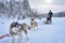 A husky dog sled carrying a sleigh with people in a snowy forest